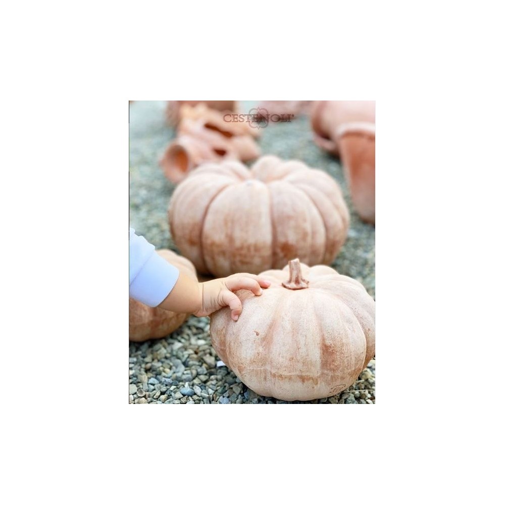 Terracotta Pumpkin